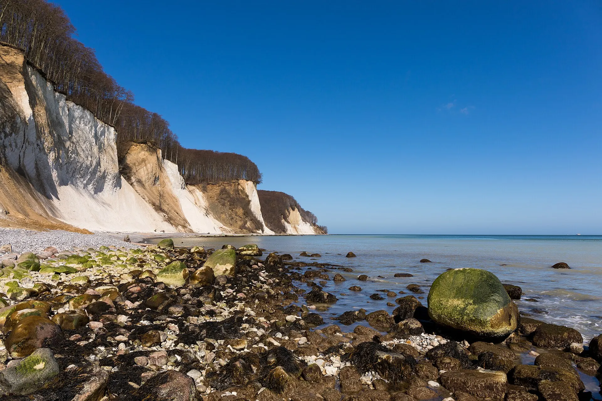 Kreidefelsen im Nationalpark Jasmund auf Rügen