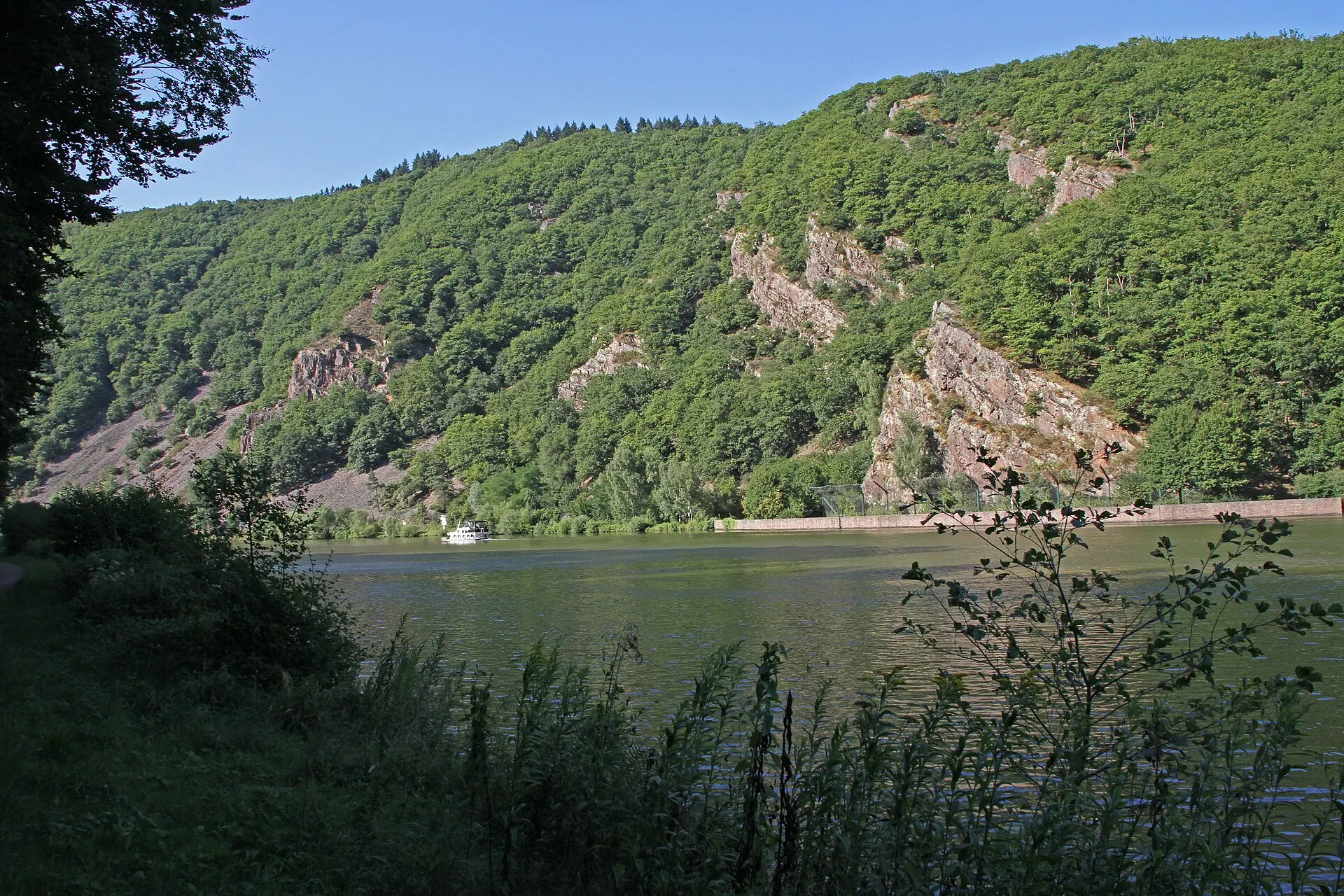Bewaldete Steilhänge an der Saarschleife bei Mettlach